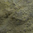 Fossilized Skin Of Dino Found