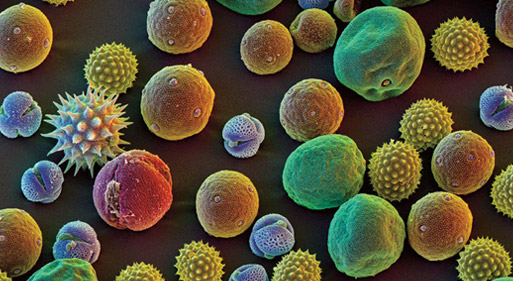 2,000,000 Times Magnification