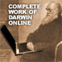 Charles Darwin Online